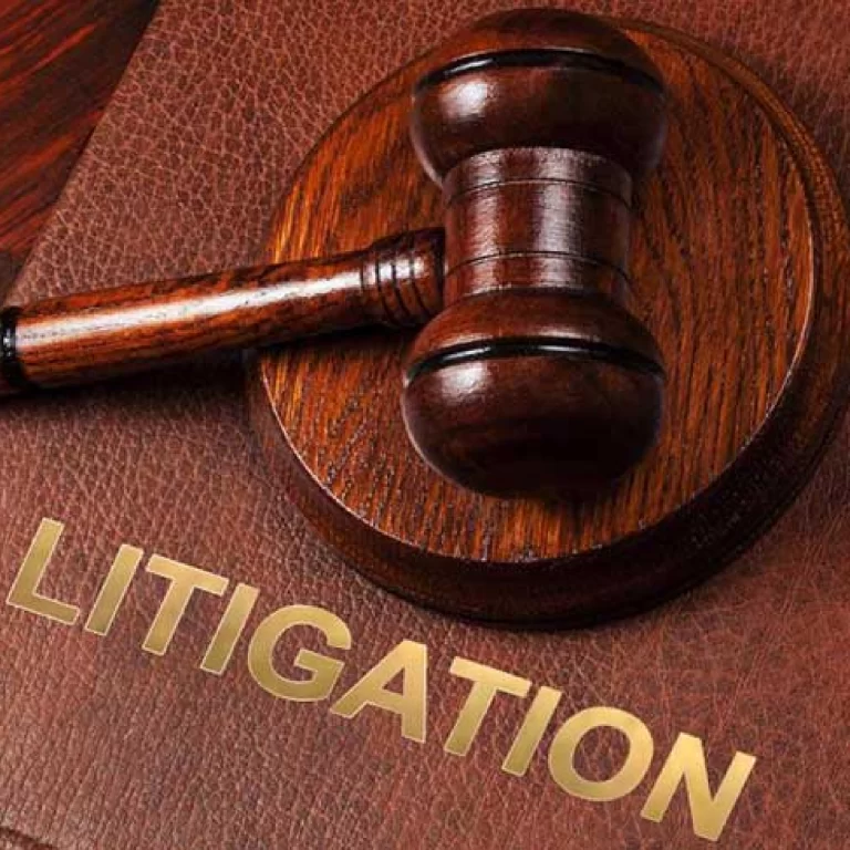 Litigation